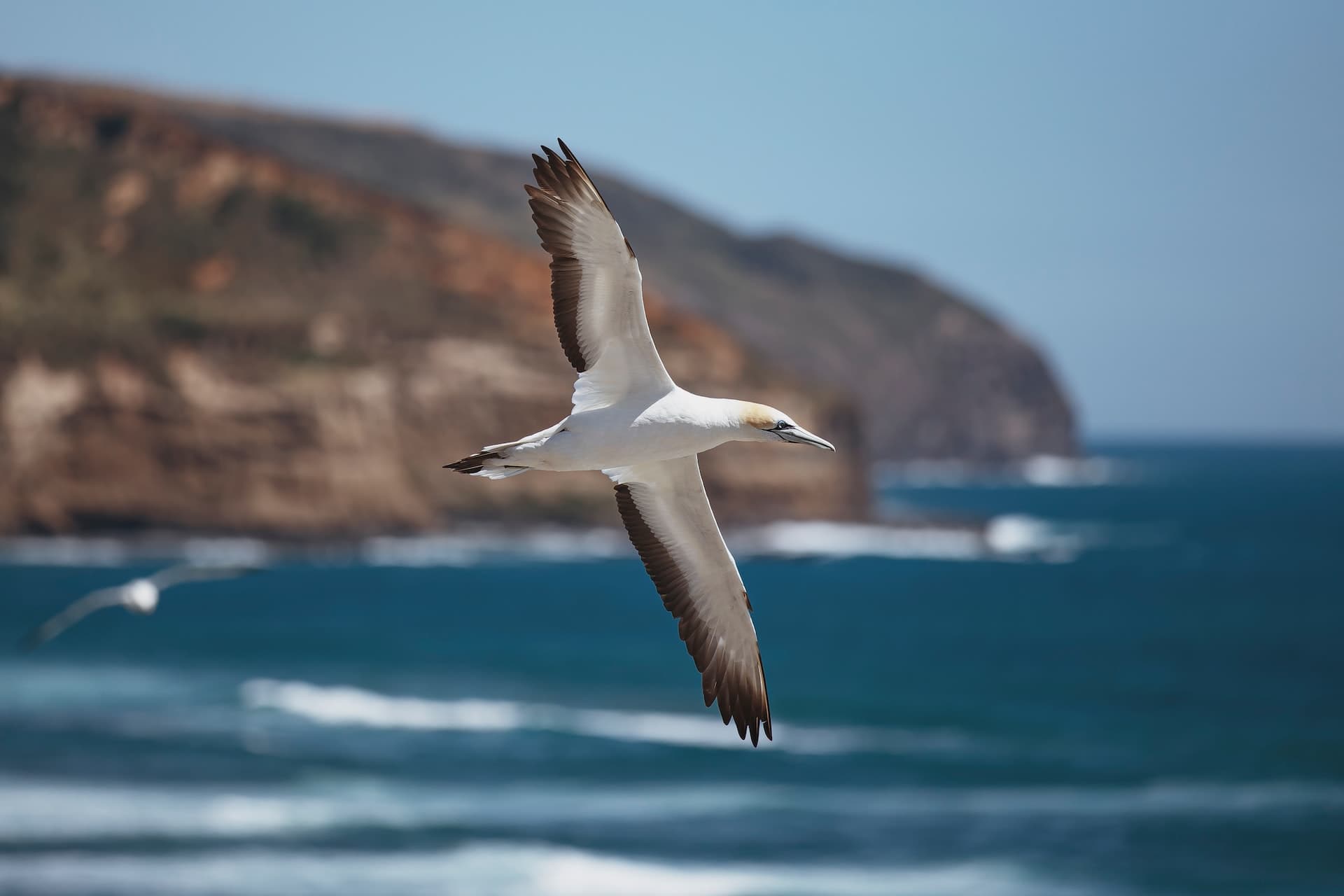 Muriwai Environmental Trust
