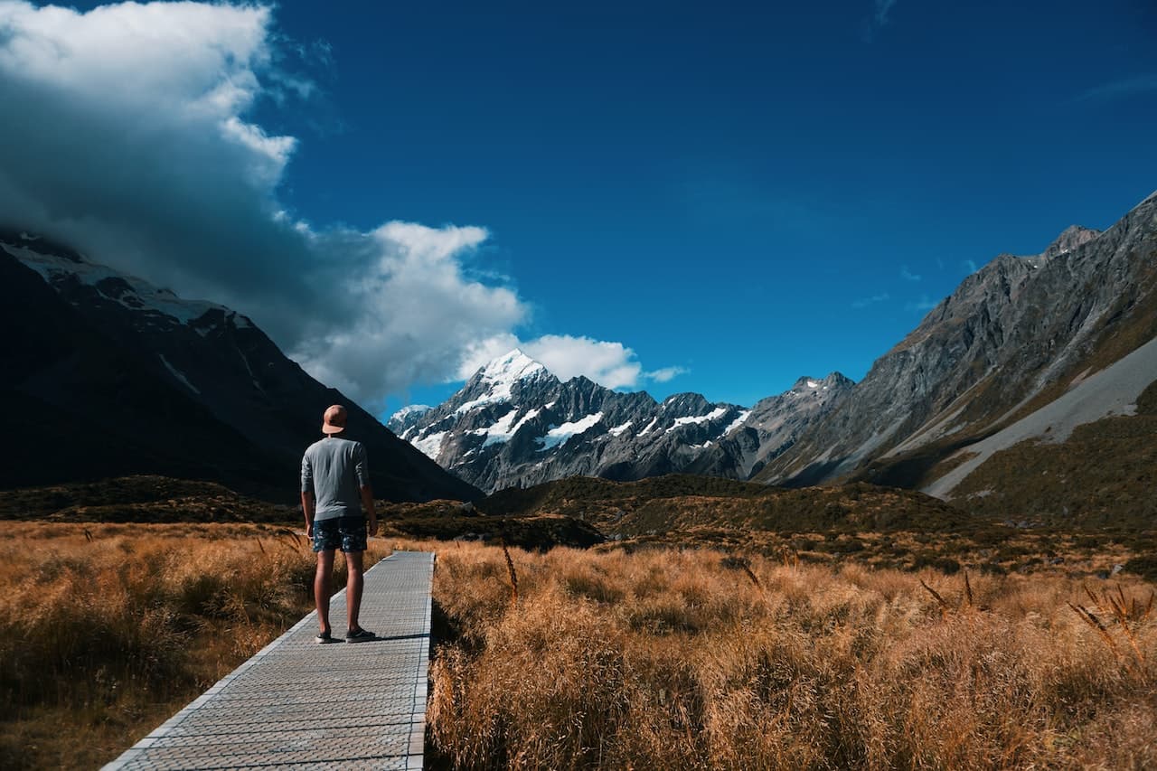 NZ Community Trapping