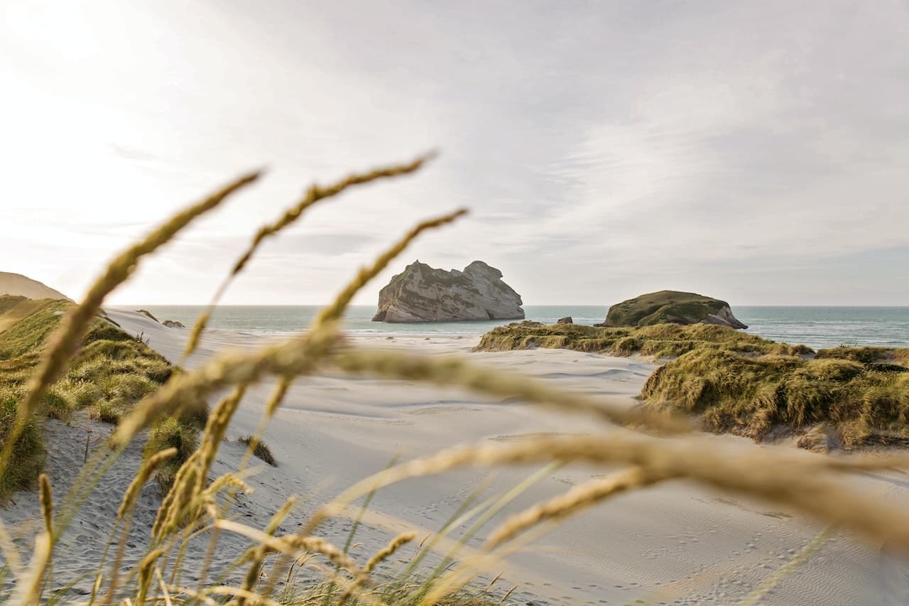 Mountains to Sea Conservation Trust -South Kaipara Landcare