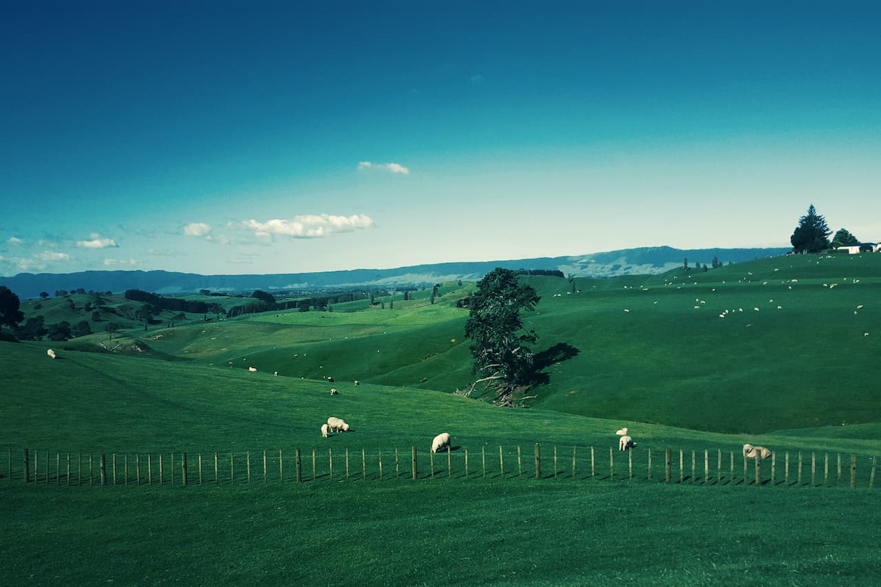 Whangara