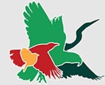Hollyford Conservation Trust