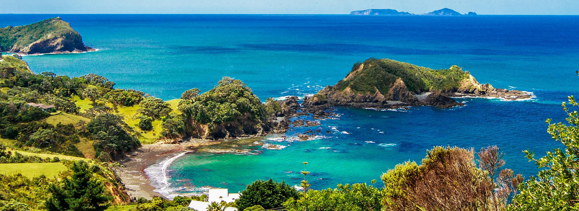 Tutukaka Landcare Coalition