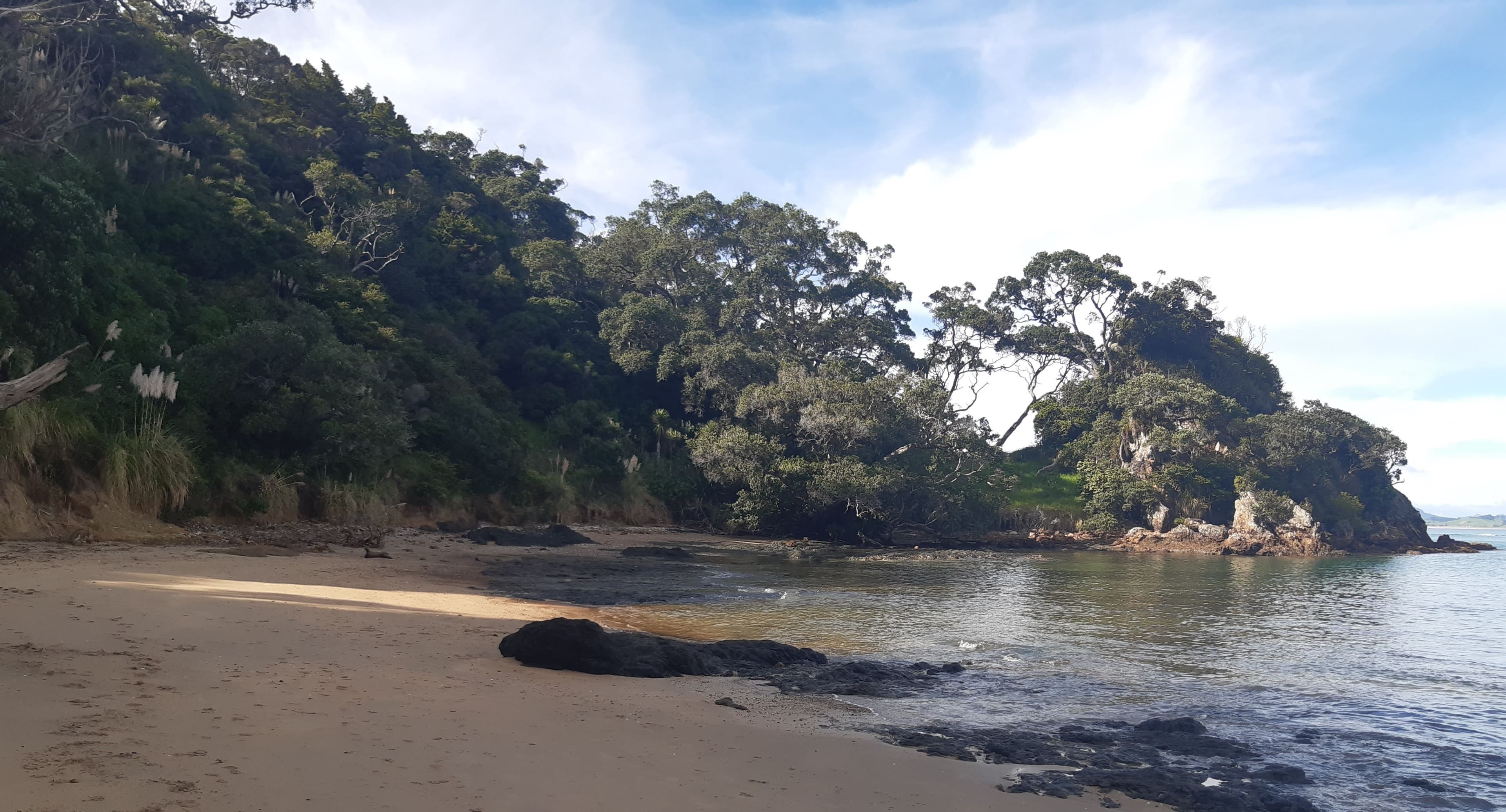 Whangaumu Bay to Te Maika