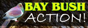 Bay Bush Action