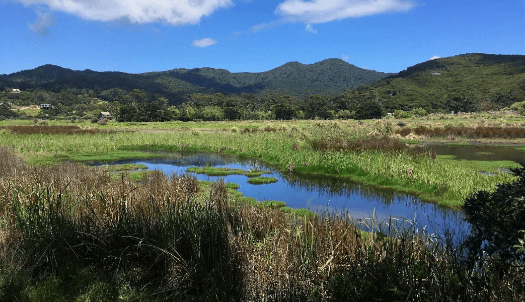 Oruawharo Medlands Ecovision 