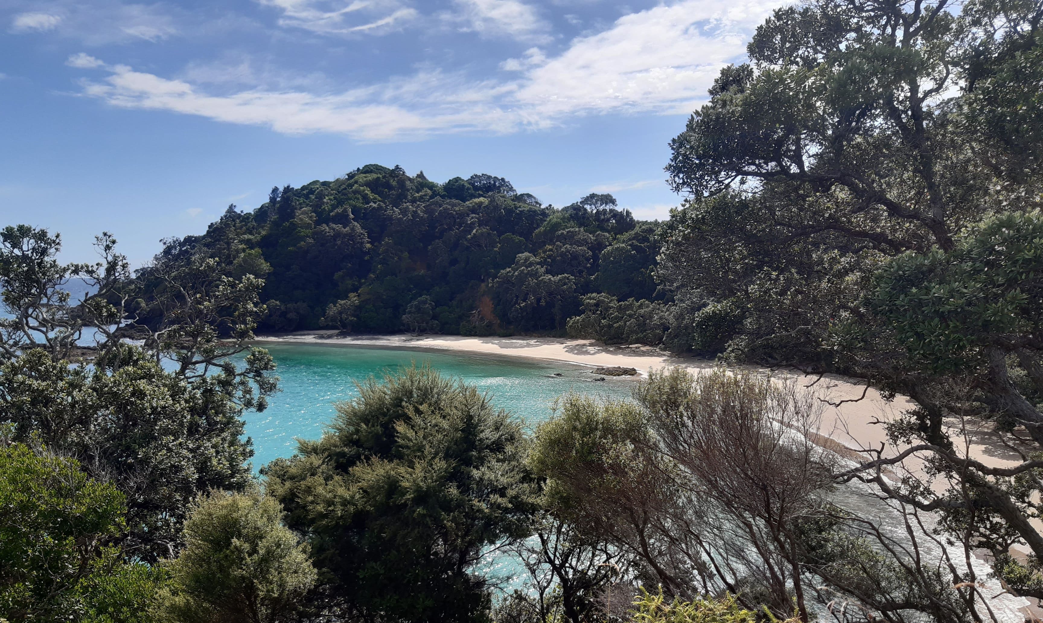 Whale Bay Walkway