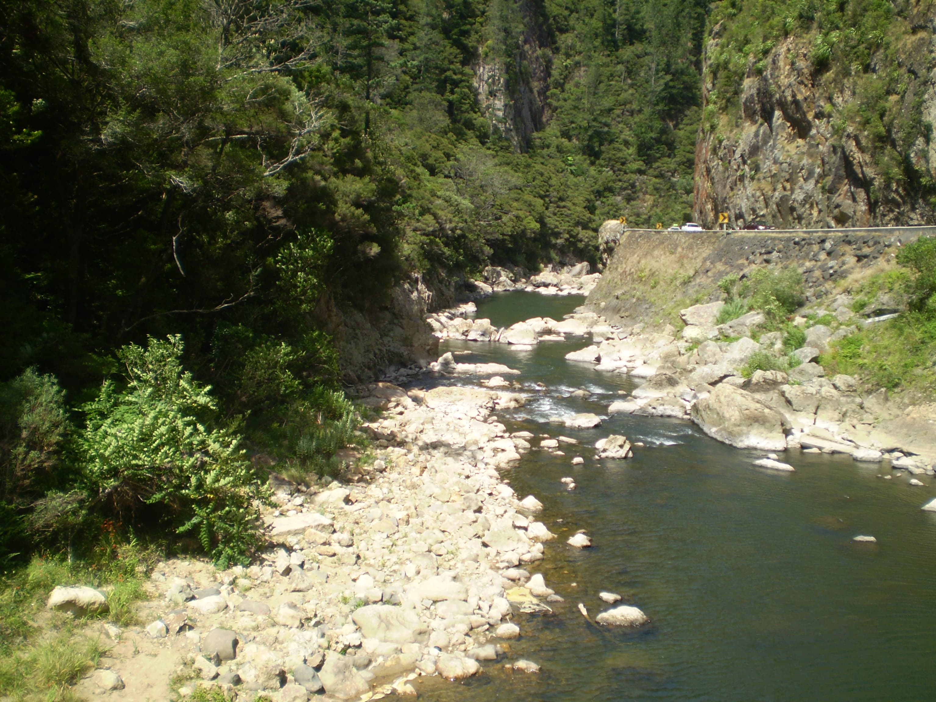 Bream Bay Rivers