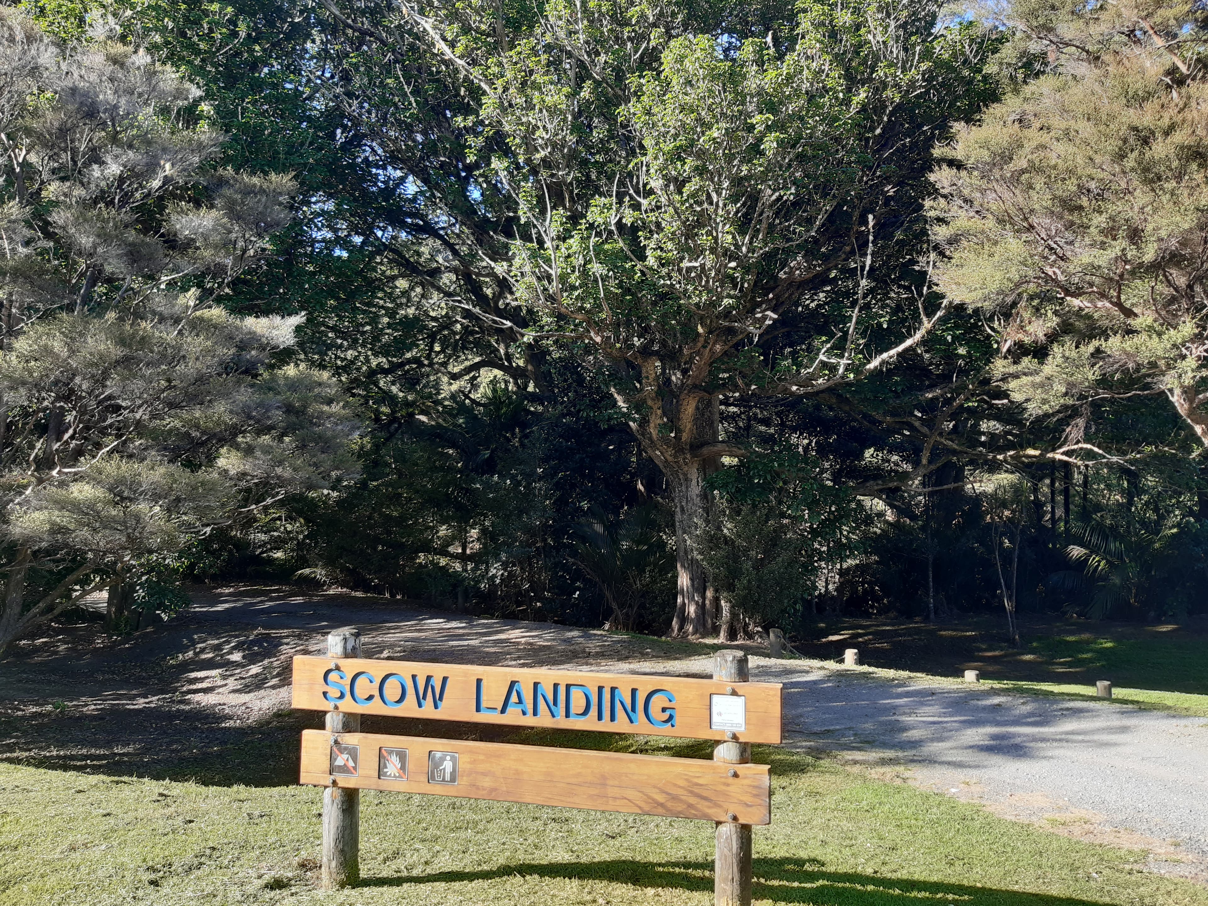 Scow Landing & Waipoka Rd