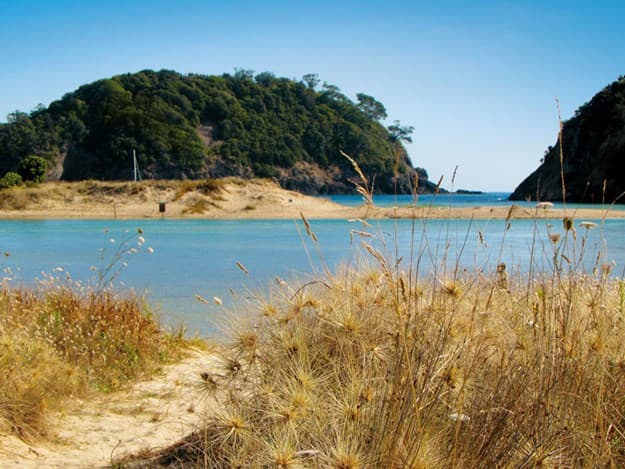 Matapouri Estuary, Te Wairoa and Parangarahu Streams