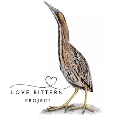 Love Bittern Project