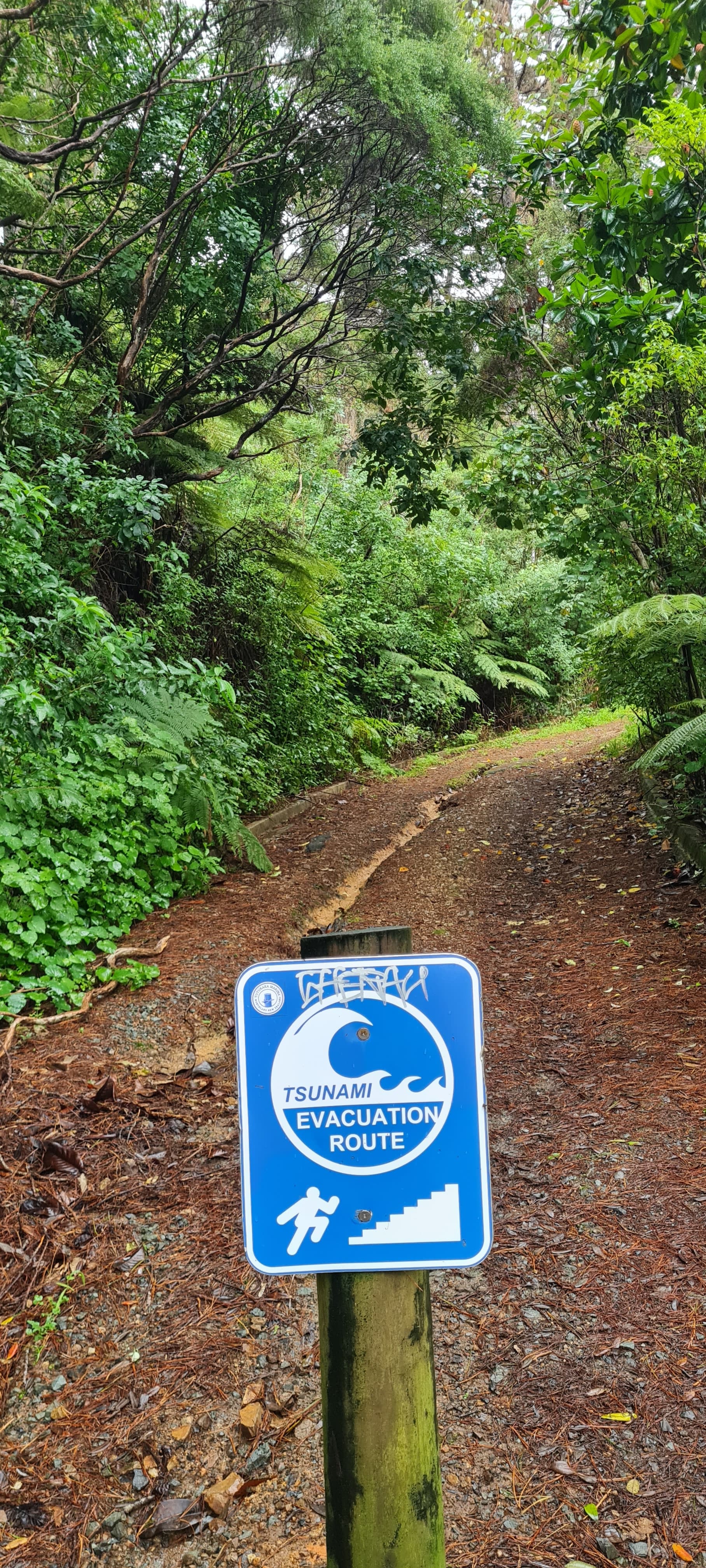Tutukaka Tsunami Track